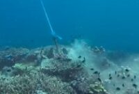 1766077499993-jangkar-rusak-terumbu-karang-1761548934357_43