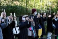 1766099061182-perpisahan-penuh-haru-panda-terakhir-jepang-segera-pulang-ke-china-1765965205144_43