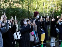 1766099061182-perpisahan-penuh-haru-panda-terakhir-jepang-segera-pulang-ke-china-1765965205144_43