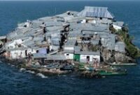 1766142372162-1c84c9eb-4255-4bc1-85a5-32ce816fa9c1_43