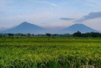 1766228709942-ugc-dtravelers-detiktravel-1766214360971_43