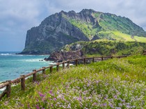1766898286773-pulau-jeju-korea-selatan_43