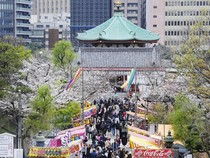 1766919889754-japan-cherry-blossoms_43
