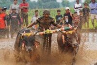 1767006304567-karapan-sapi-sakak-probolinggo-tradisi-lokal-jadi-daya-tarik-wisata-akhir-tahun-1766975409695_43