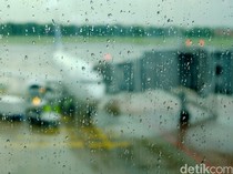 1767179123528-27769e80-3b3e-4091-a5f2-af1ae1dc233f_43