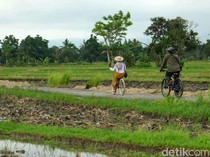 1767352002325-sejuknya-udara-persawahan-di-desa-wisata-bilebante-lombok_43