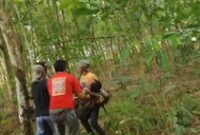 1767352006832-warga-lampung-timur-tewas-diseruduk-gajah-di-way-kambas-1767166488882_43