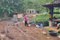 1767459874714-lokasi-ditemukan-jejak-harimau-1767345301297_43