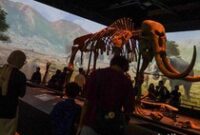 1767611144331-museum-nasional-indonesia-jadi-tujuan-favorit-untuk-liburan-sambil-belajar-1767449710933_43