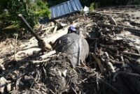 1767956710541-gajah-mati-akibat-banjir-di-aceh-1764396106224_43