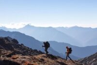 1768129493489-24efe448-2095-4fde-b018-f891bd67d38a_43