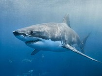 1768215906517-0eaaddad-da24-42a3-a3a7-3ac5e7ee02b0_43