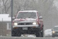 1769425497451-bunga-bermekaran-diselimuti-salju-di-denver-1745382211143_43