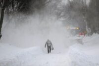 1769490305972-76033619-7f72-44f7-b7b9-e761815170f2_43