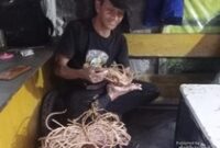 1769511900607-ugc-dtravelers-detiktravel-1769507939407_43