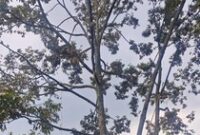 1769533518846-ugc-dtravelers-detiktravel-1769514285101_43